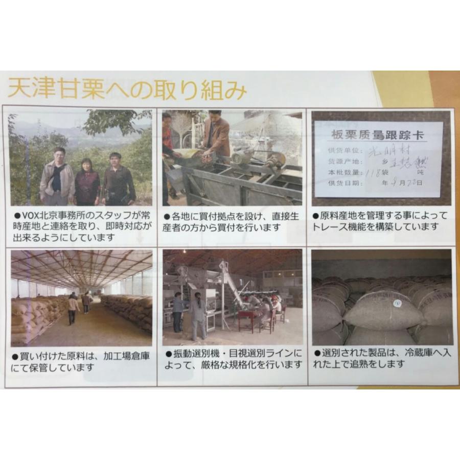 天津　焼き甘栗むき身（Ａ品）20ｋｇ（ｋｇ1690円税別）業務用　ヤヨイ　甘栗 |  | 03