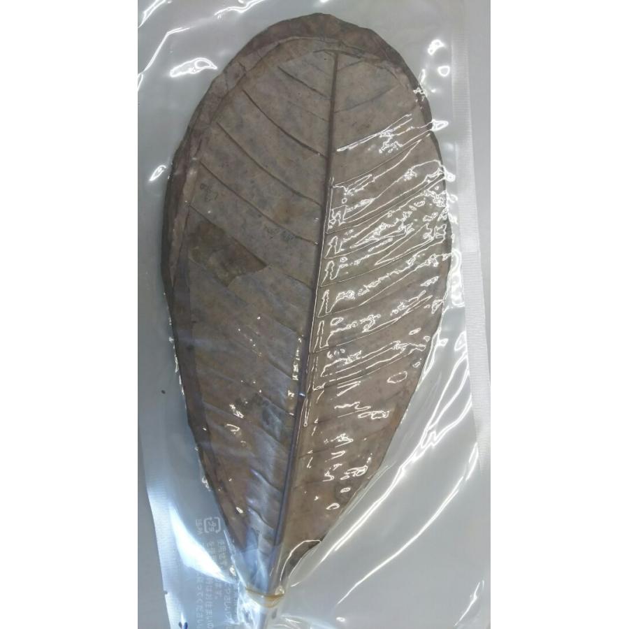 中国産　朴葉　乾燥ほうばの葉（M）真空　20枚x50P（P450円税別）/1000枚　Sサイズもあり　業務用　ヤヨイ　激安 | 