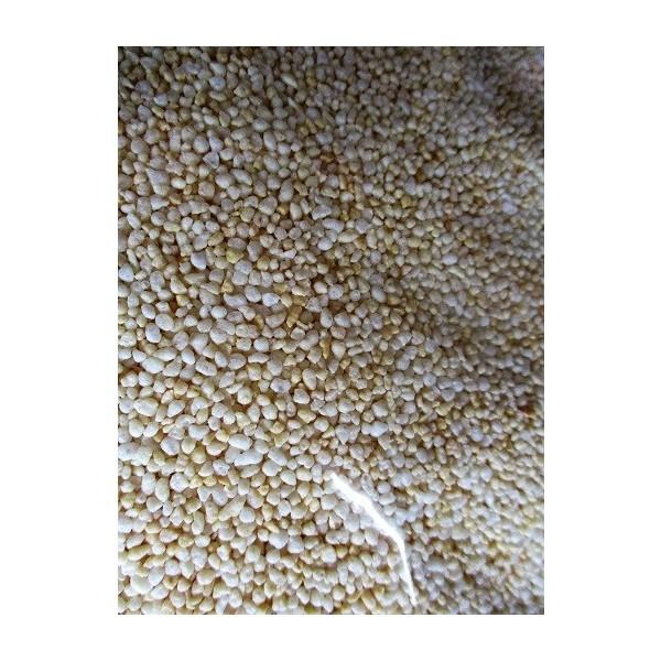 うるち米　揚げ衣　ポップライス500ｇx14Ｐ（Ｐ650円税別）業務用　ヤヨイ　あげころも用玄米 |  | 02