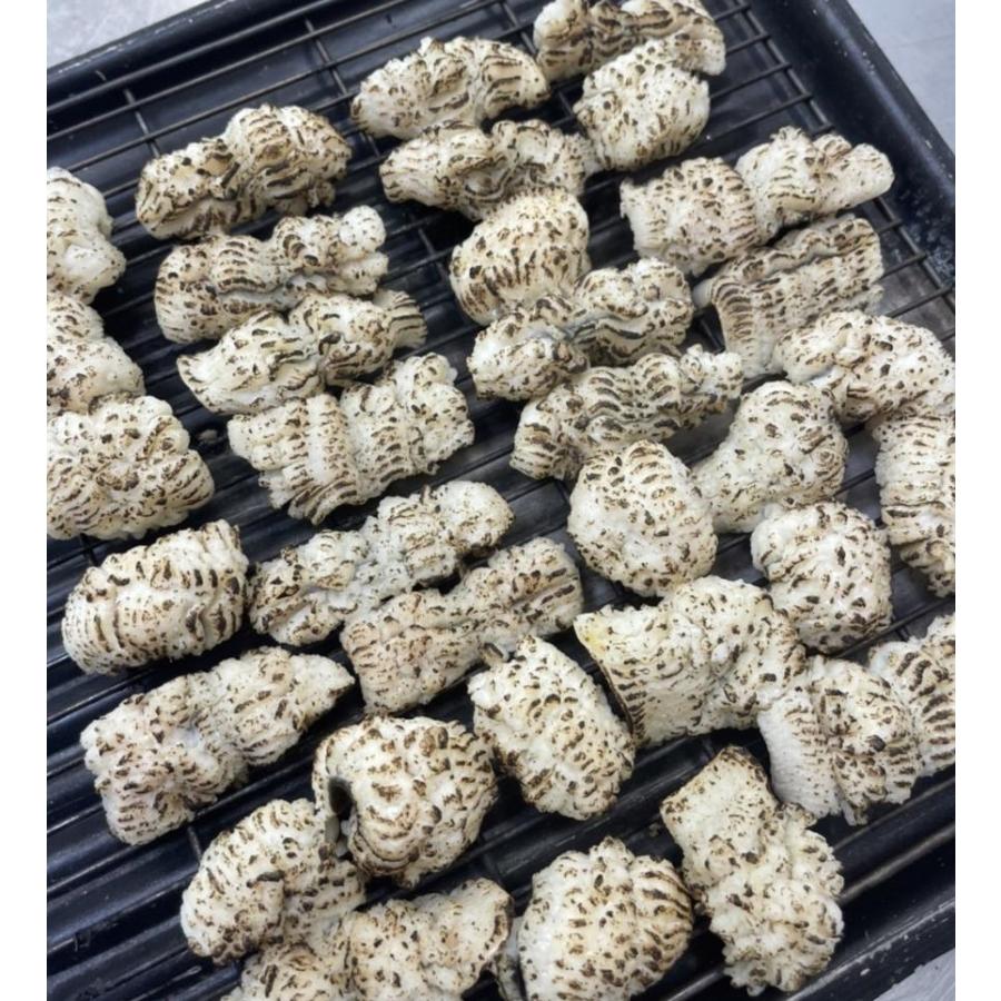 国産（愛媛・兵庫県）天然　湯引きはも(炙り)　500ｇ（個約15ｇ）x20Ｐ（P2,400円税別）※湯引き鱧も下記に記載中　冷凍　業務用　ヤヨイ |  | 01