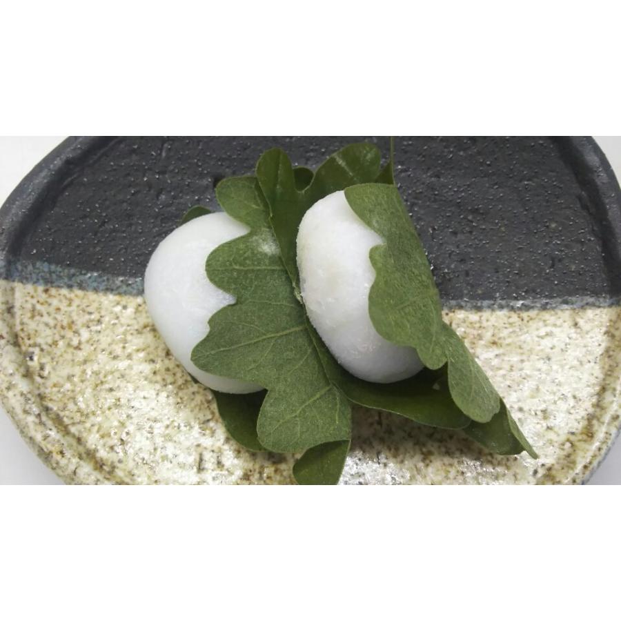 冷凍和菓子　かしわ餅　大　12個（個50ｇ）x24Ｐ（Ｐ780円税別）冷凍　業務用 ヤヨイ | 