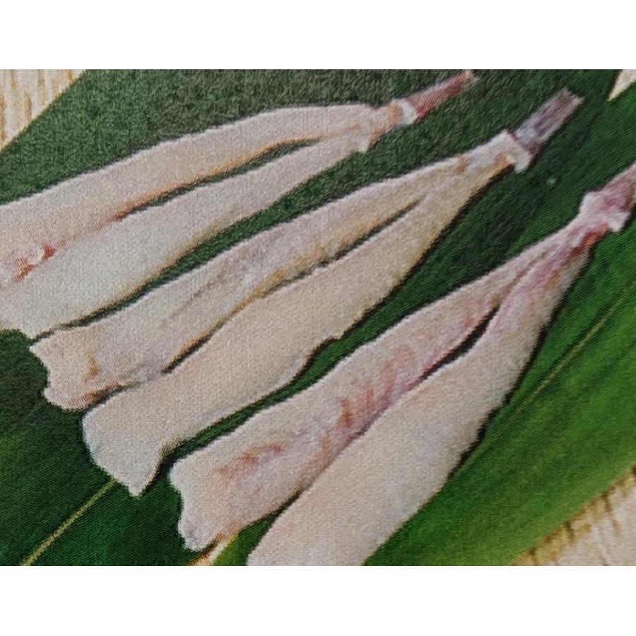 中国産　あんこう松葉　600g（30ｇ×20尾）×20P（P1,640円税別） アンコウ 加熱用　冷凍　業務用　ヤヨイ | 