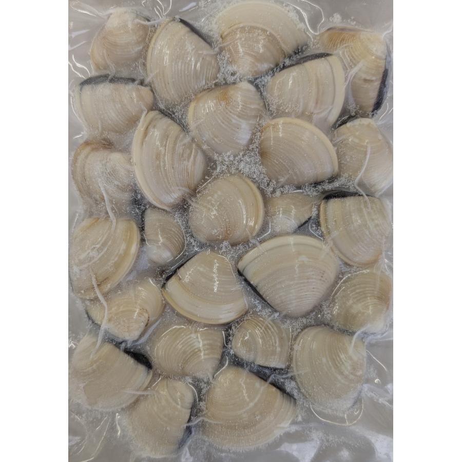 殻付ボイルはまぐり　40-60サイズ　500g×20P（P520円税別） 加熱済 冷凍　業務用　ヤヨイ　激安 | 