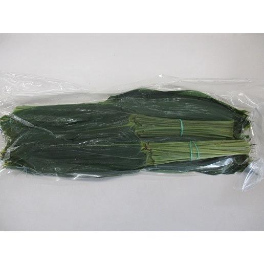 国産　笹の葉　笹葉真空MS（枝付き）200枚×13P（3,500円税別）業務用　ヤヨイ | 