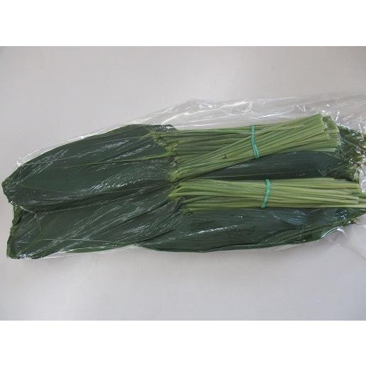 国産　笹の葉　笹葉真空MS（枝付き）200枚×13P（3,500円税別）業務用　ヤヨイ |  | 01