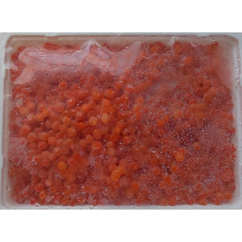 北海道加工　いくら醤油漬け（鮭子） 500ｇx20Ｐ（Ｐ5,720円税別）　業務用　ヤヨイ | 