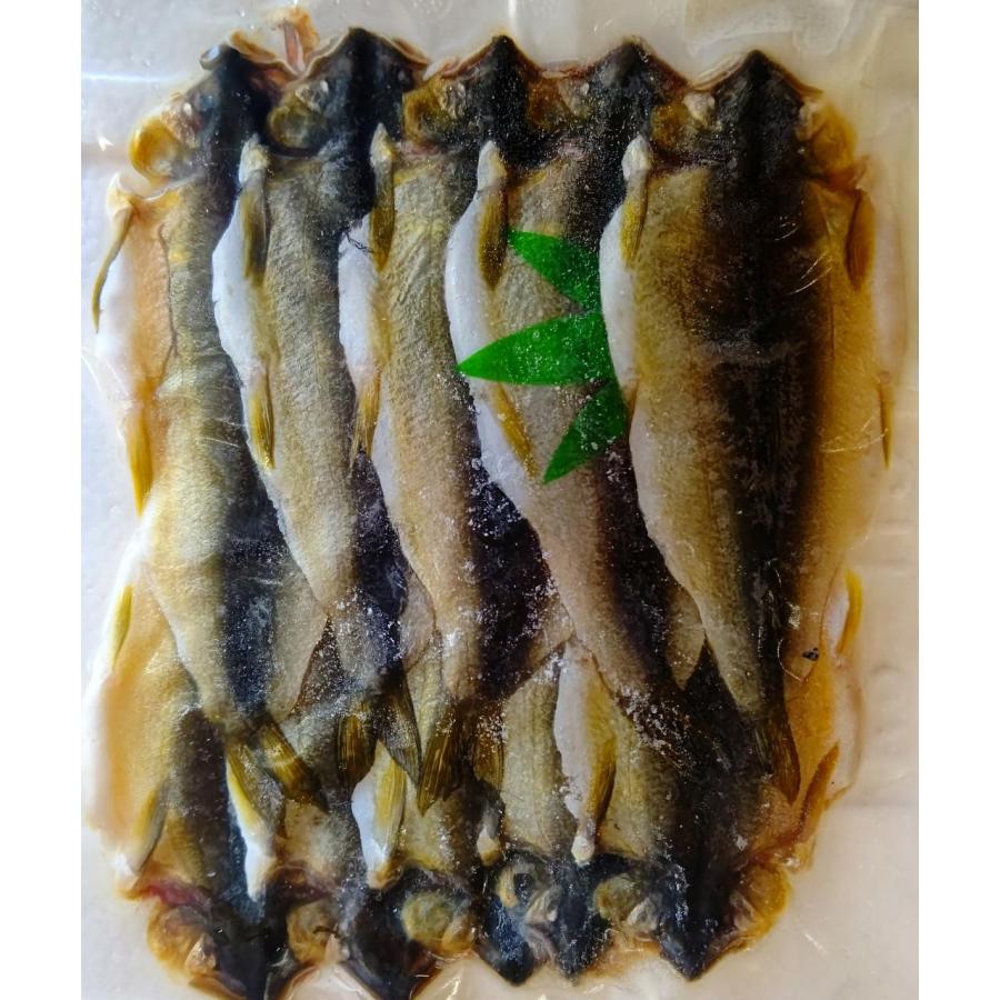 国産　鮎一夜干し　10尾x30P（P1,560円税別）真空　冷凍　業務用　ヤヨイ | 