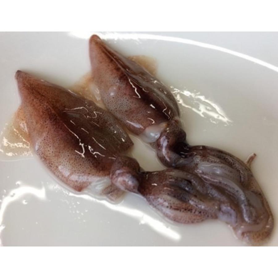 刺身用　生ほたるいか目取り　500g（約80尾）ｘ20Ｐ（Ｐ1,300円税別）冷凍　業務用　ヤヨイ | 