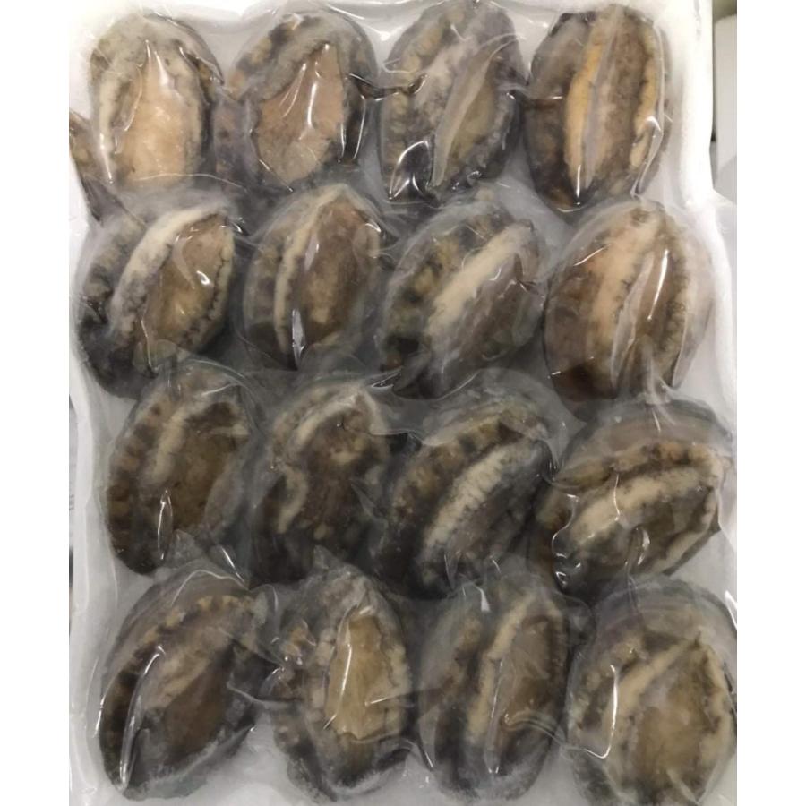 生食用　殻付蝦夷鮑1kg（個40〜50ｇ）x10Ｐ（P3900円税別）限定品　業務用　ヤヨイ　あわび　下記に個30-40ｇ、50-60ｇ、61-70ｇも記載中 |  | 06