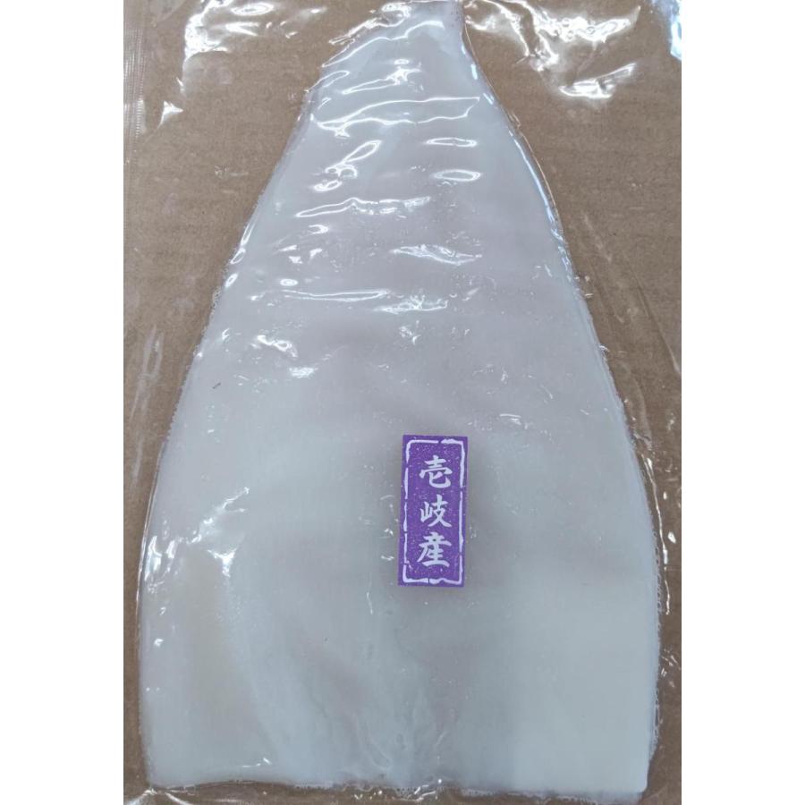 国産（壱岐産）剣先イカ　フィーレ　10枚（枚約170〜200ｇ）×5合（合16,600円税別）冷凍　生食用　※アオリイカの取り扱いあります。　業務用　ヤヨイ | 
