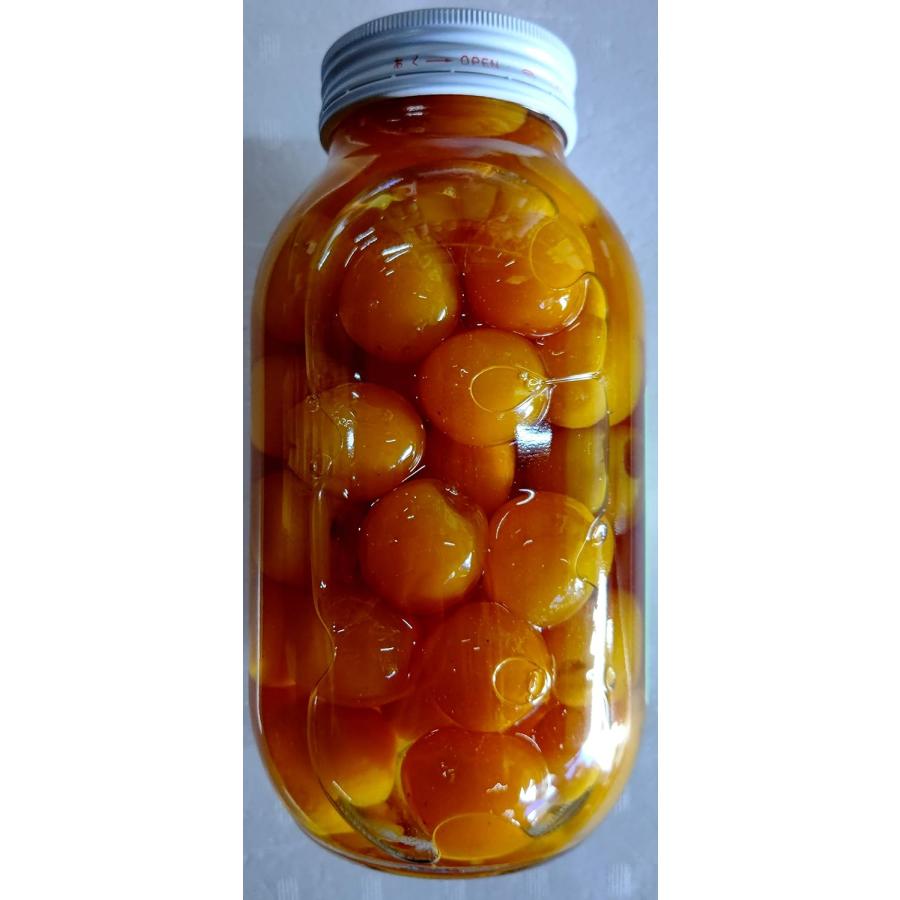 味百華　黄金丸金柑甘露煮　M　1050ｇ（固形550ｇ）×12本（本1,560円税別）常温　業務用　ヤヨイ　Sサイズも下記に記載中 |  | 01