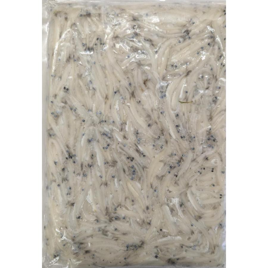 国産　青森県産　白魚　500gx24Ｐ（P1,540円税別）生食可能　冷凍　業務用　ヤヨイ | 