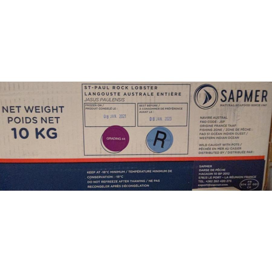 フランス産　生ロブスター　丸　10kg（約44尾）kg6,028円税別　伊勢海老　冷凍　業務用　ヤヨイ |  | 02