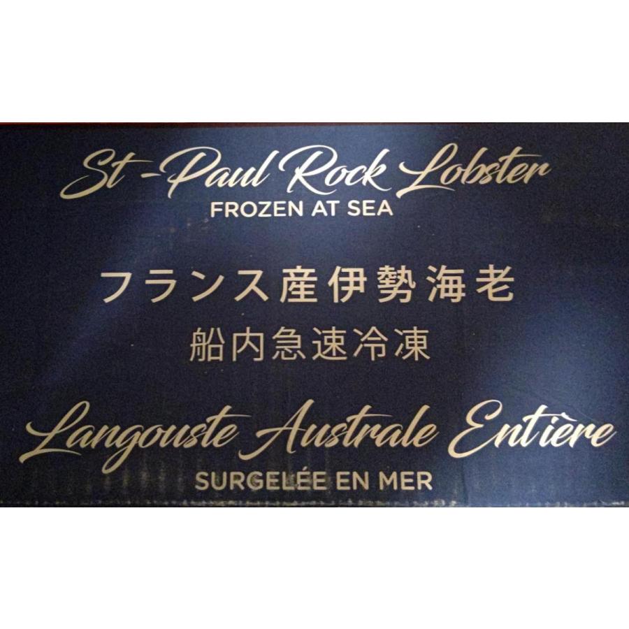 フランス産　生ロブスター　丸　10kg（約44尾）kg6,028円税別　伊勢海老　冷凍　業務用　ヤヨイ |  | 03