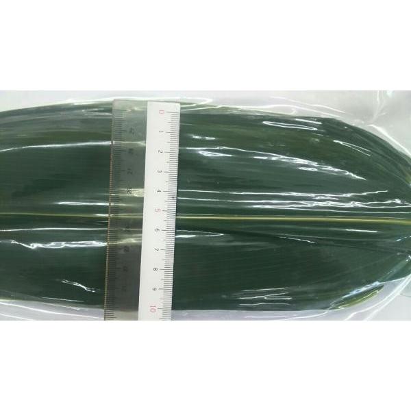 中国産　笹の葉　軸無し　2L　100枚×30P（P460円税別）枚長さ34-36cm×幅8-10ｃｍ　常温　業務用　ヤヨイ |  | 01