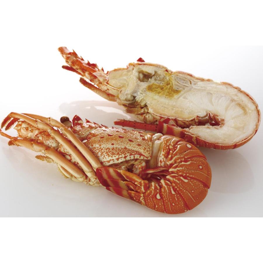 国内加工　ボイルロブスター　ハーフカット　24尾（尾2ハーフ）尾400/450ｇ（尾2,560円税別）冷凍　業務用　ヤヨイ | 