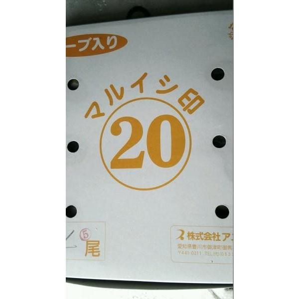 国産　冷凍　子持ち鮎　１ｋｇ（10〜16尾）×１０枚 （枚3,600円税別）鮎　業務用　ヤヨイ　各サイズあり |  | 01