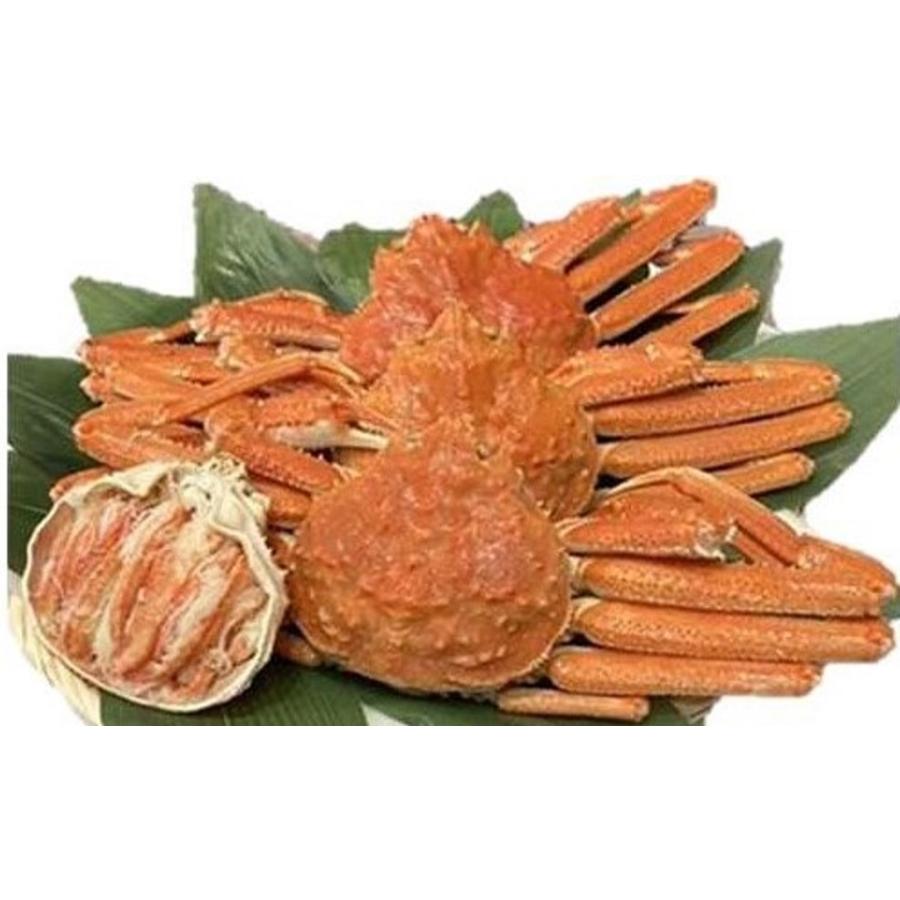 北海道産　大ボイルずわい蟹（姿）3kg（6〜7尾）（kg5,000円税別）冷凍　限定品　業務用　ヤヨイ | 