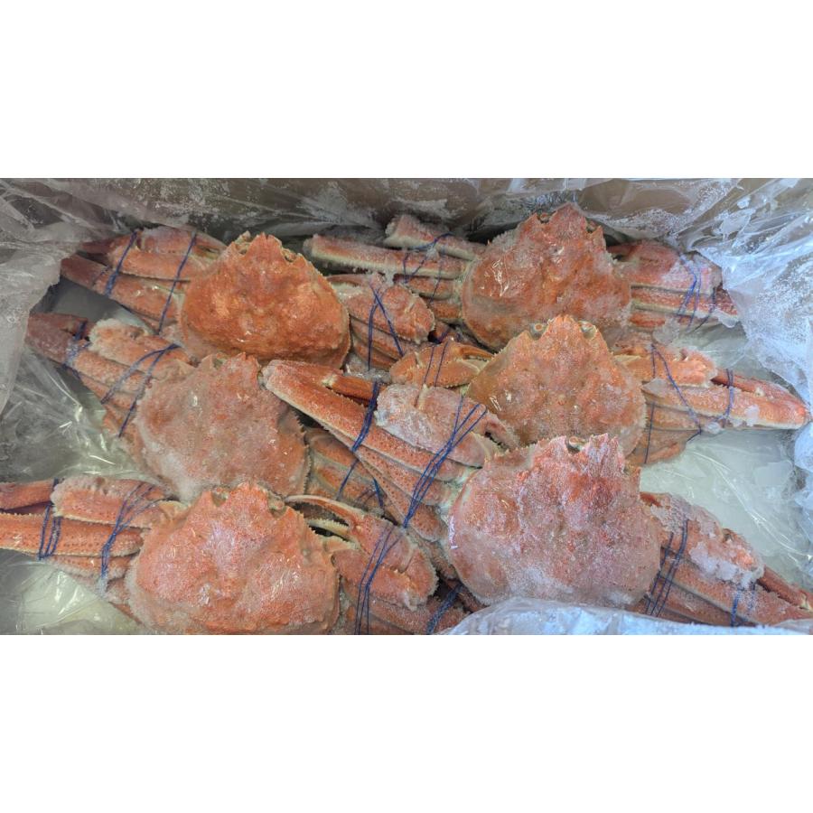 北海道産　大ボイルずわい蟹（姿）3kg（6〜7尾）（kg5,000円税別）冷凍　限定品　業務用　ヤヨイ |  | 01