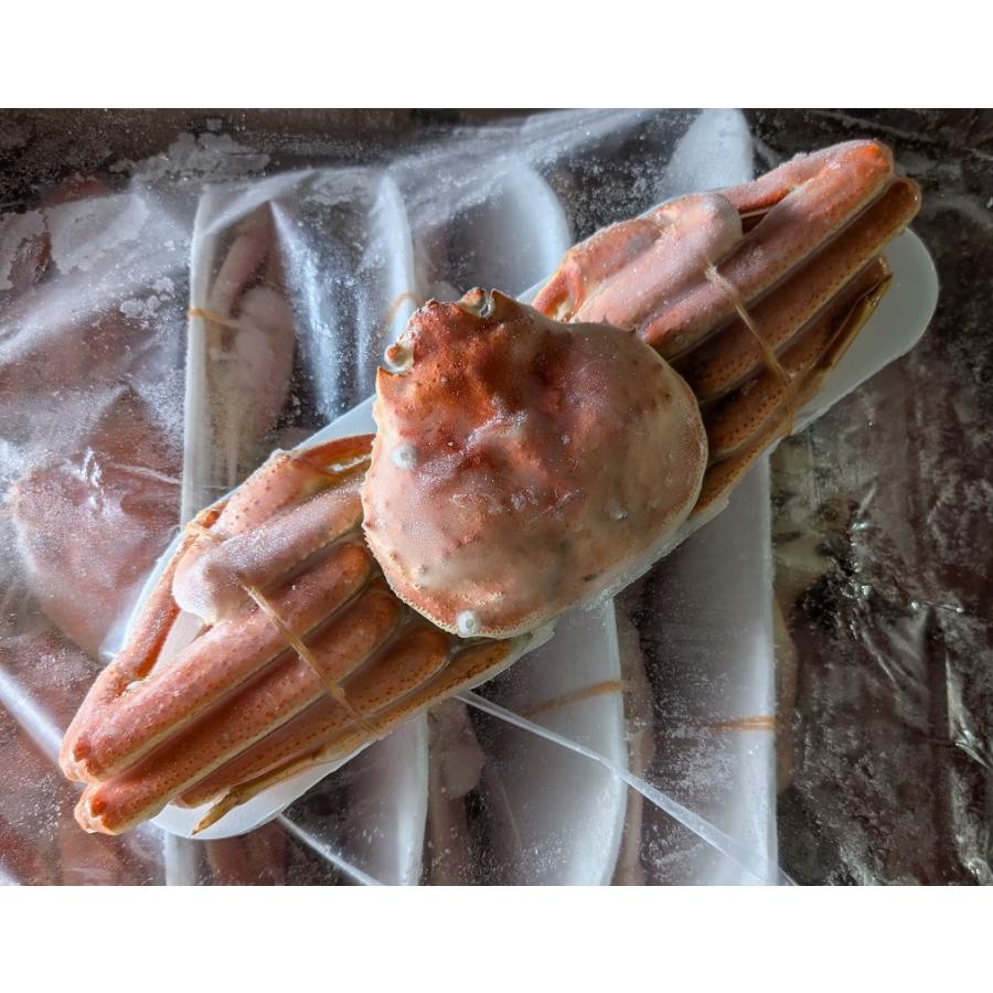 国産　大ボイルずわい蟹（姿）4kg（約6〜7尾）（kg4,400円税別）限定品　冷凍　業務用　ヤヨイ |  | 01