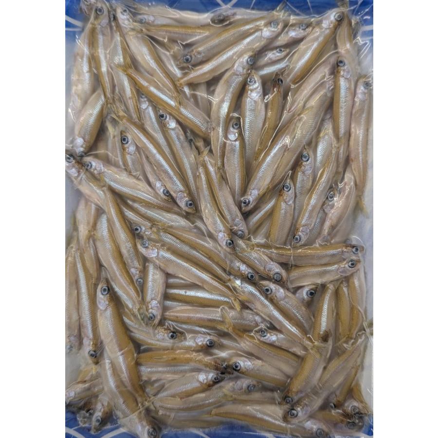 国産　天然わかさぎ　小　500ｇx20袋（袋1,560円税別）尾約6-8cm　冷凍　業務用　ヤヨイ | 