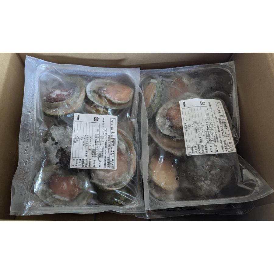 オーストラリア産　殻付鮑　グリーンリップ　2L　1Kg（約10個入）×10Ｐ（P6,370円税別）冷凍　生食　業務用　ヤヨイ |  | 03