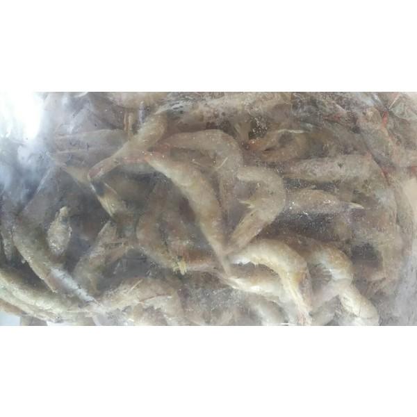 国産（熊本県）冷凍芝海老ＩＱＦ　1ｋｇx10袋（袋1690円税別）業務用　ヤヨイ | 