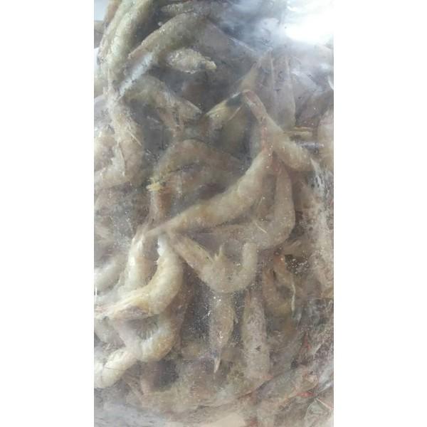 国産（熊本県）冷凍芝海老ＩＱＦ　1ｋｇx10袋（袋1690円税別）業務用　ヤヨイ |  | 02