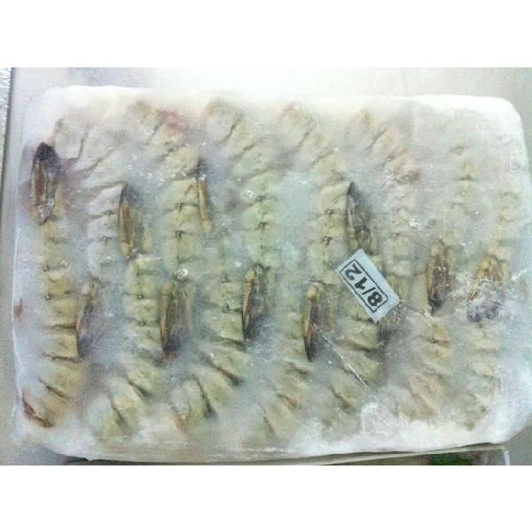 一級品　頭無8-12ブラックタイガー　1.8ｋｇ（約40尾）×６枚（枚5900円税別）業務用　ヤヨイ | 