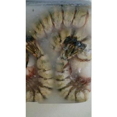 超特大サイズ　3-4無頭海老　1.8ｋｇ（約14匹）×６枚（枚12,600円税別）業務用　ヤヨイ | 