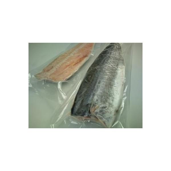 韓国産　本サワラフィーレ　10kg(約600ｇ〜800ｇ)ｋｇ1,820円税別　業務用　ヤヨイ | 