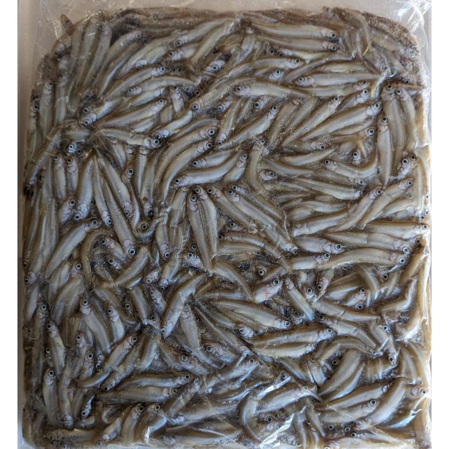 国産（青森県産）　わかさぎ　1Kg×12P（P2,100円税別）尾約5〜7cm　冷凍　業務用　ヤヨイ | 