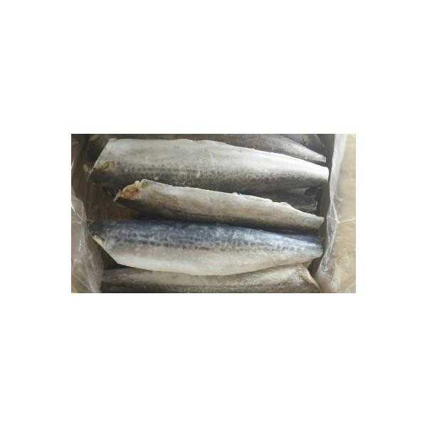 中国産　サゴシフィーレ　4kg(20尾)x４箱（箱4650円税別）　業務用　ヤヨイ | 