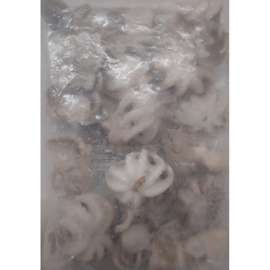 ブランチング　いいだこ　IQF　400ｇ（約17ケ入）×20P（P850円税別） 業務用 ヤヨイ |  | 01