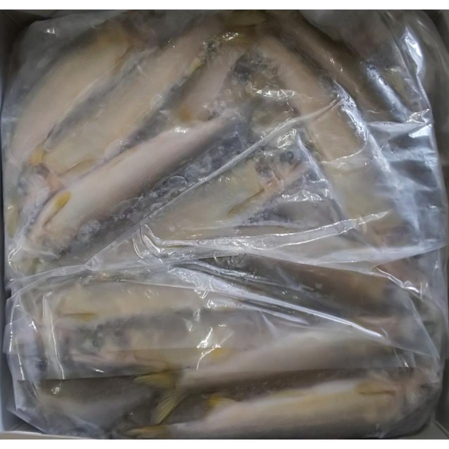国産（愛知県産）　冷凍あゆ　1kg×10P（P25尾）P2080円税別　鮎　一級品　業務用　ヤヨイ | 