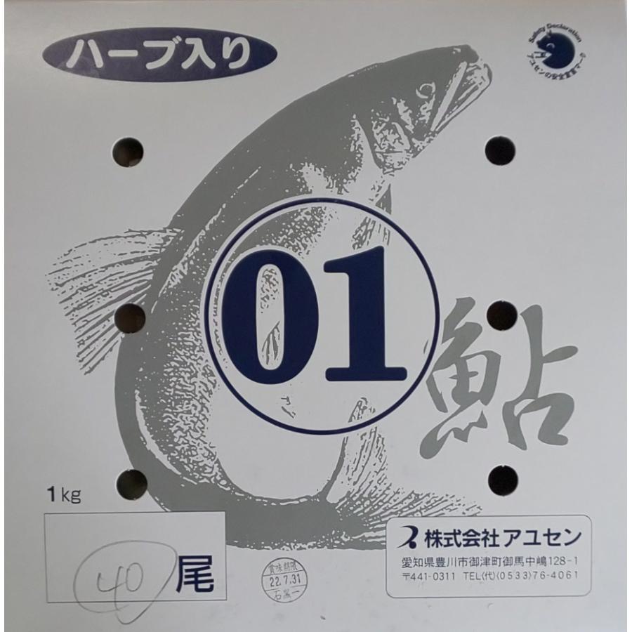 国産（愛知県産）　冷凍あゆ　1kg×10P（P25尾）P2080円税別　鮎　一級品　業務用　ヤヨイ |  | 01