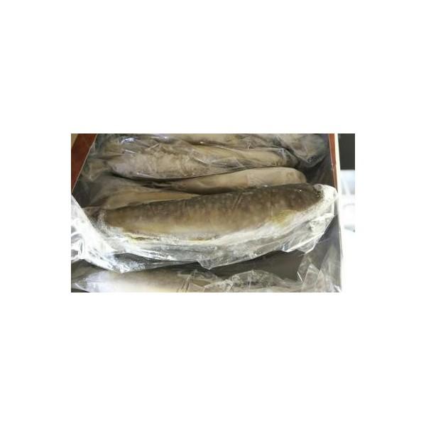 国産　冷凍いわな　１ｋｇ（10〜16尾）x10枚（枚3,050円税別）業務用　ヤヨイ | 