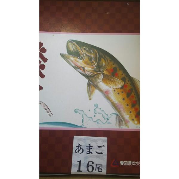 国産（愛知県産）　冷凍あまご１ｋｇ（12尾）x10枚（枚3,120円税別）業務用 ヤヨイ　他サイズもあり　やまめ、いわなも下記に記載中 |  | 01