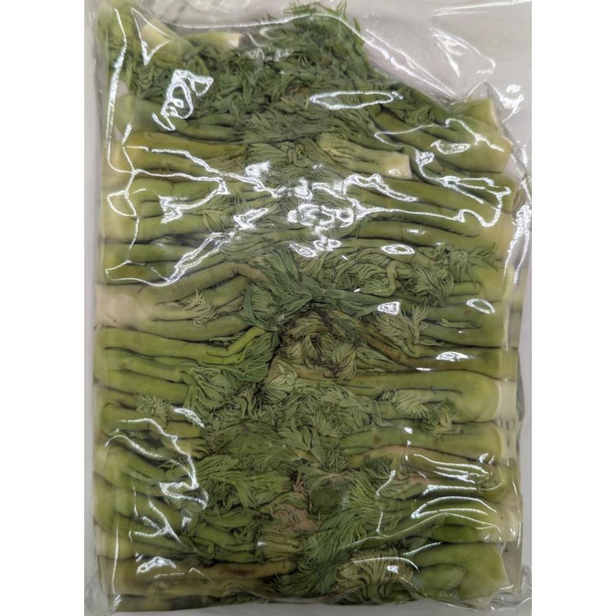 中国産　たらの芽水煮　S　500ｇ×20P（P1,240税別）常温　業務用　ヤヨイ　約4-6ｃｍ | 