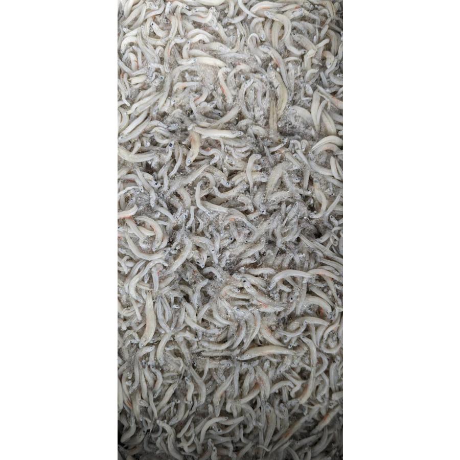 国産　干しらす（ちりめん）粗目　2Kg×6箱（Kg2,700円税別）大特価　冷凍　業務用　ヤヨイ | 