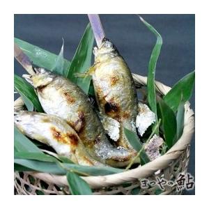 国産（滋賀県・岐阜県産）串打ち　鮎　10尾×12P（P2000円税別）1kg16尾サイズ使用　業務用　ヤヨイ 国産 滋賀県 岐阜県産 税別