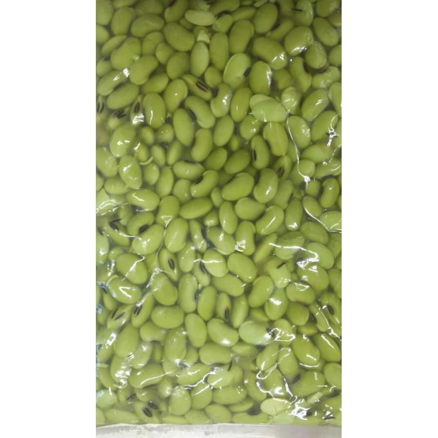 国内産　味付ひたし豆　500ｇ×20Ｐ（Ｐ720円税別）業務用　ヤヨイ　青大豆　枝豆 | 