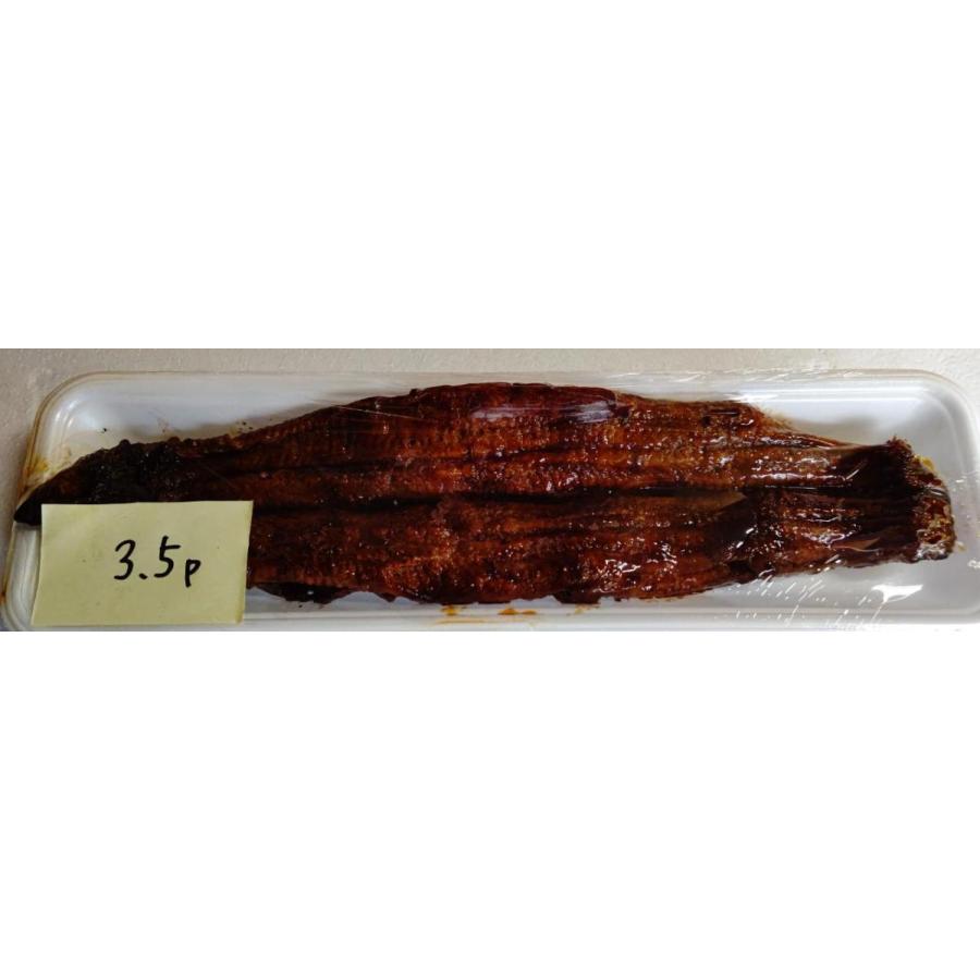 国産（三河産）うなぎ蒲焼　5Pサイズ　30匹（匹1,800円税別）　業務用　ヤヨイ　他に下記に3.5P又は4Pの価格も記載中 |  | 01