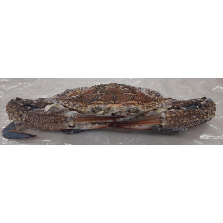 冷凍　渡り蟹（丸）10ｋｇ（匹100-150ｇ、150-200ｇ、200-300ｇ各サイズあり）ｋｇ1,300円（税別）業務用　ヤヨイ | 