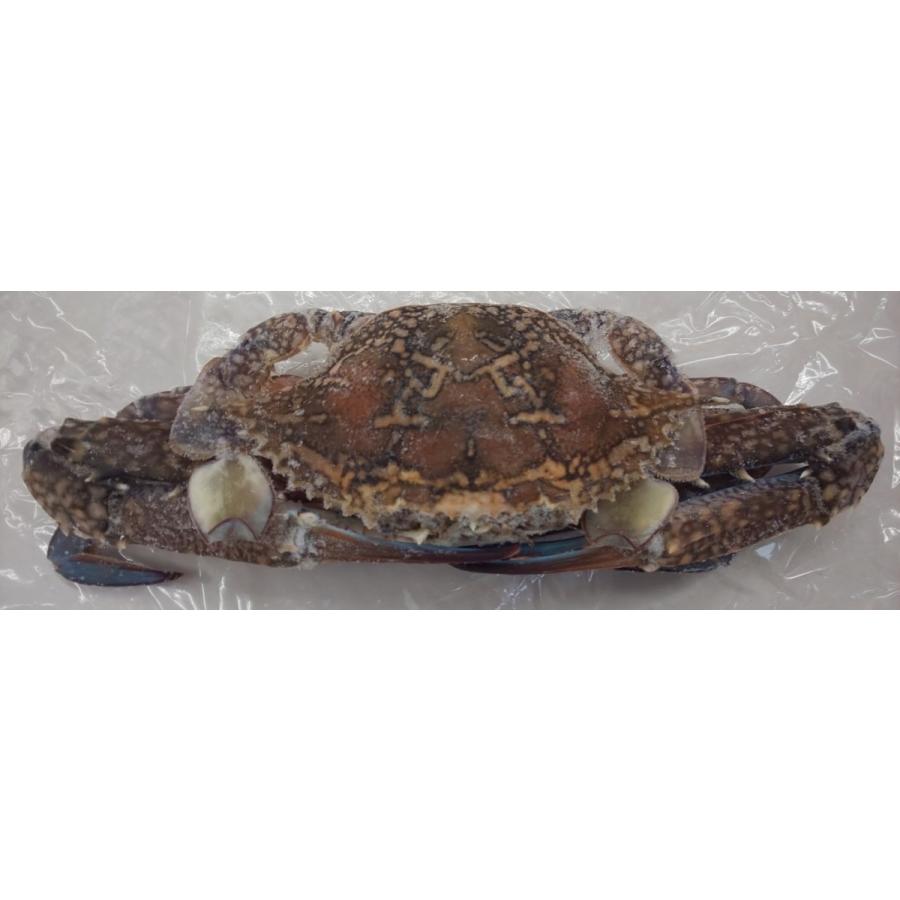 冷凍　渡り蟹（丸）10ｋｇ（匹100-150ｇ、150-200ｇ、200-300ｇ各サイズあり）ｋｇ1,300円（税別）業務用　ヤヨイ |  | 01