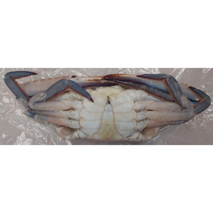 冷凍　渡り蟹（丸）10ｋｇ（匹100-150ｇ、150-200ｇ、200-300ｇ各サイズあり）ｋｇ1,300円（税別）業務用　ヤヨイ |  | 02