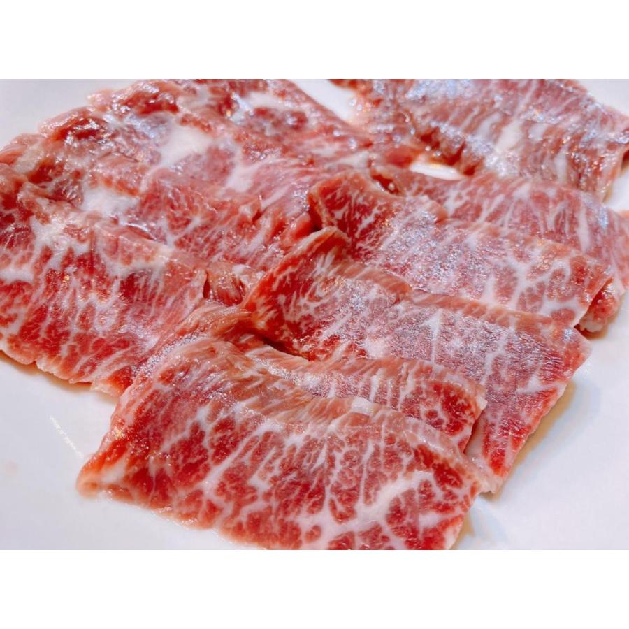 冷凍　馬刺し赤身　ヒレ　8Kg（800ｇ×10P）Kg5,800円（税別）※他にロース、ユッケ、中落、タテガミ、ハラミ、レバー、ハツ、馬トロ　業務用　ヤヨイ | 