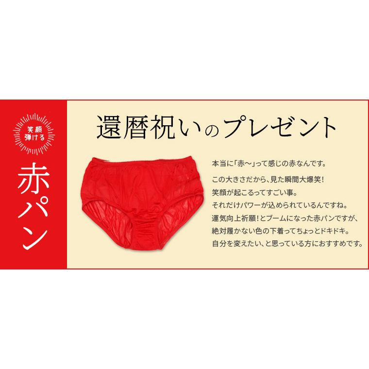 お尻すっぽり シルクショーツ レディース シルク100% 絹 夏 締め付けない パンツ ずり上がらない 深め 薄手 大きめ 20代 30代 40代 50代 60代 841 | 841 | 19