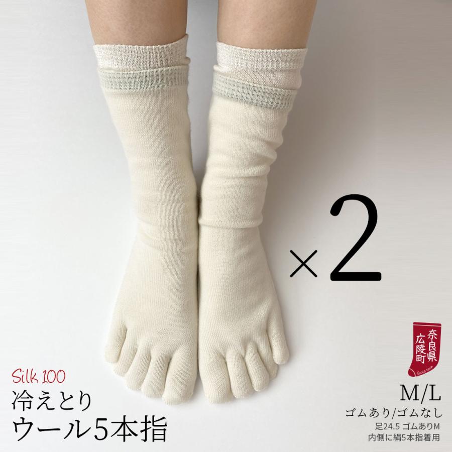 冷えとり靴下 2足セット ウール5本指ソックス 5本指靴下 レディース メンズ ウール100% 冷え取り靴下 蒸れない 暖かい ゴム選択可 かかとなし 日本製 841 | 841 | 03