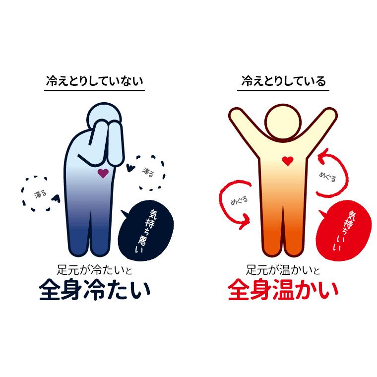 冷え取り靴下 4足セット 冷えとりレギンス (内容：冷えとり靴下4足、レギンス、ハンドブック) レディース シルク 5本指 靴下 暖かい 初心者 冷え症 日本製 M 841 | ブランド登録なし | 12